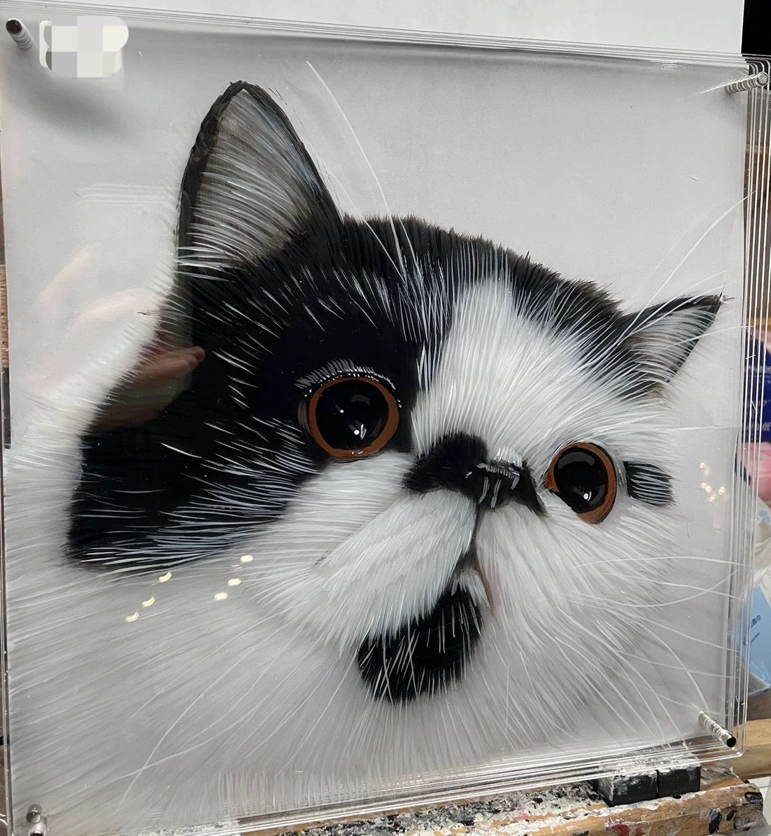 3D Multi-Acrylic Portraits for pets
